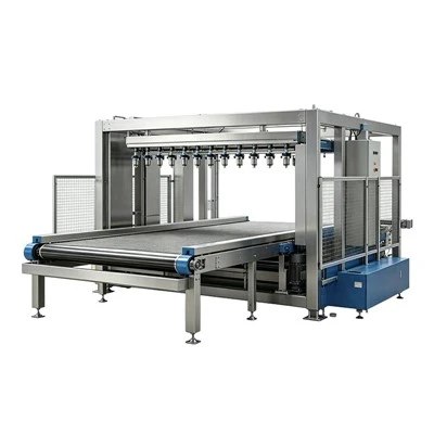 Heavy-Duty Coating Conveyor